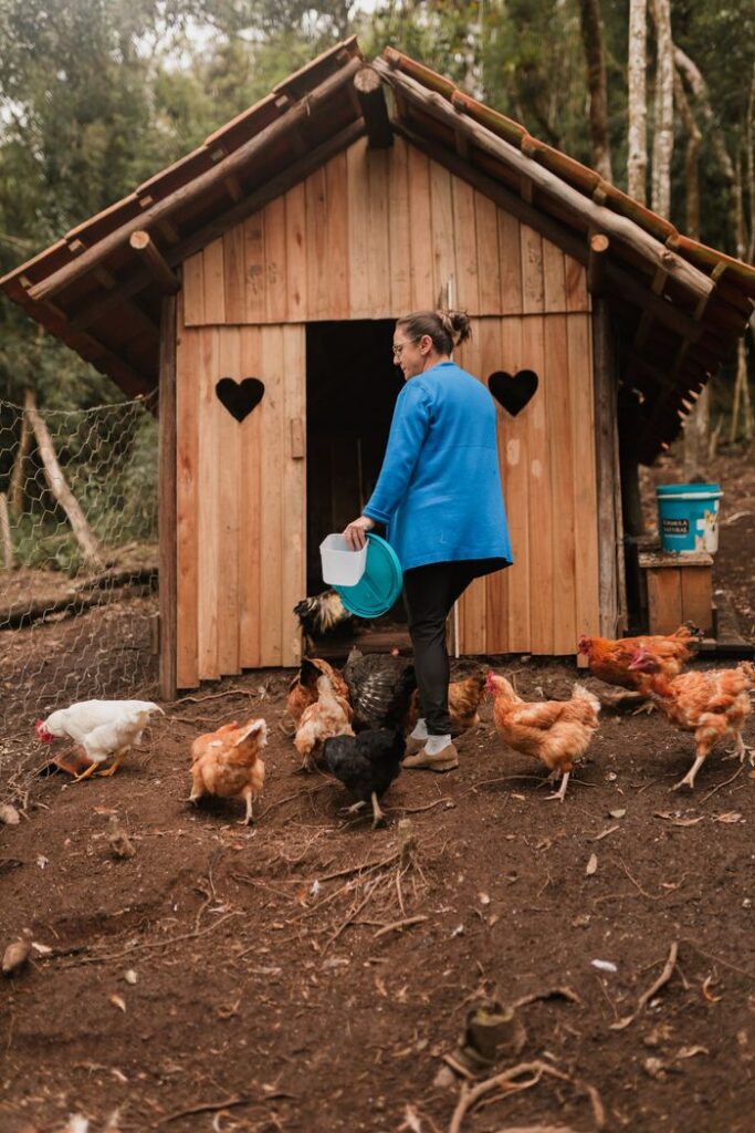 A woman in a blue jacket feeds chickens outside a rustic wooden chicken coop in a forest setting.