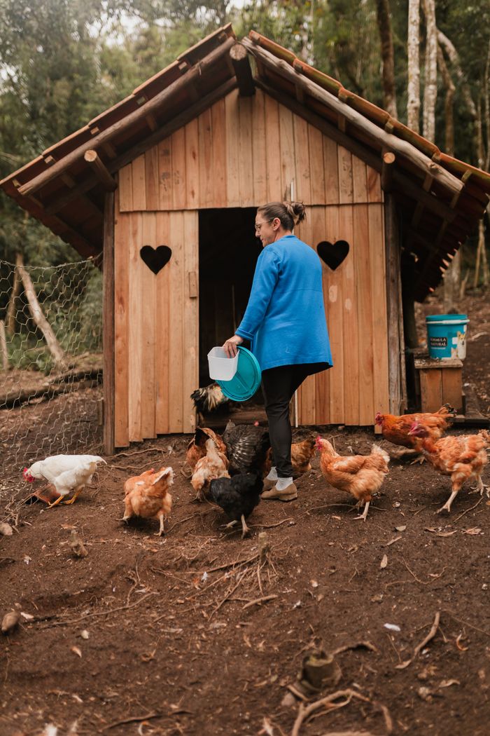 A woman in a blue jacket feeds chickens outside a rustic wooden chicken coop in a forest setting.